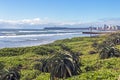 Dune Vegetation Coastal Landscape in Durban South Africa Royalty Free Stock Photo