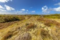 Dune Vegetation on Terschelling Island Royalty Free Stock Photo