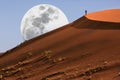 Dune walking in the Namib Desert Royalty Free Stock Photo