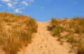 Dune way Royalty Free Stock Photo