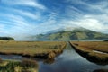 Dunedin peninsula, New Zealand