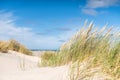 Dunegrass at the Beach of Skagen in northern Denmark Royalty Free Stock Photo