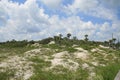 Dunes Royalty Free Stock Photo