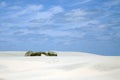 Dunes Royalty Free Stock Photo
