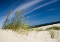 Dunes Royalty Free Stock Photo