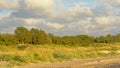 Dunes along the baltic coast with long beach grass and trees behind Royalty Free Stock Photo