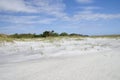 The dunes on Amelia Island, Florida, USA Royalty Free Stock Photo