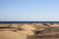 Dunes with atlantic ocean