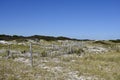 Winter Atlantic Ocean Dunes