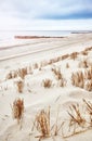 Dunes at Baltic Sea beach in Dziwnowek, selective focus, Poland Royalty Free Stock Photo