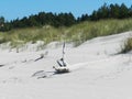 Dunes on the Baltic Sea. Summer, vacation on beach. Beautiful sandy landscapes.