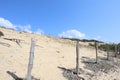 Dunes on beach bordered by wooden fences. Moliets beach France.
