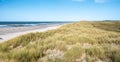 Dunes, beach and breakwaters at North Sea coastline of West Frisian island Vlieland, Netherlands Royalty Free Stock Photo