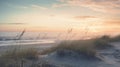Romantic Sunrise On A Sandy Beach: Gauzy Atmosphere And Dutch Landscape