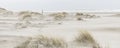 Beach at a nature reserve in Holland Royalty Free Stock Photo