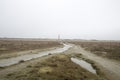 Beach at a nature reserve in Holland Royalty Free Stock Photo