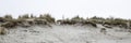 Beach at a nature reserve in Holland Royalty Free Stock Photo