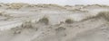 Beach at a nature reserve in Holland