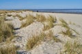 Dunes with beach grass at the North Sea coast in Schillig, Germany Royalty Free Stock Photo