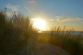 Dunes with beach grass and  North Sea with sun in the evening Royalty Free Stock Photo
