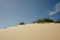 Dunes with beach grass and sandy beach coastli