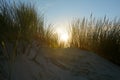 Dunes with beach grass with sun in the evening Royalty Free Stock Photo