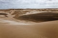 Dunes at the beach near Villa Gesell Royalty Free Stock Photo