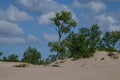 Dunes Beach sand dunes at Sandbanks Provincial Park Royalty Free Stock Photo