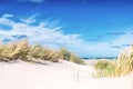 Dunes at the Beach of Skagen in northern Denmark Royalty Free Stock Photo