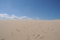 Dunes of the beaches of Valdevaqueros Tarifa in CÃÂ¡diz