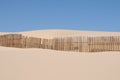 Dunes of the beaches of Valdevaqueros Tarifa in CÃÂ¡diz