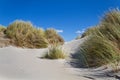 Dunes with Beachgrass