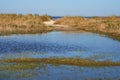 Dunes behind a puddle at the North Sea coast in Schillig, Germany Royalty Free Stock Photo