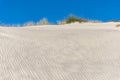 The dunes of Biscarrosse, France