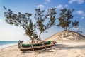 Dunes and canoes Royalty Free Stock Photo