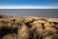 Dunes At The Coast Royalty Free Stock Photo