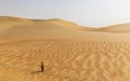 Dunes and colored sands of the Rub al-Khali desert Royalty Free Stock Photo