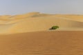 Dunes and colored sands of the Rub al-Khali desert Royalty Free Stock Photo