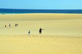 Dunes in Corralejo Natural Park