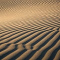 Dunes create undulating parallel ridges under warm low angle Royalty Free Stock Photo