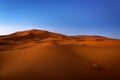 Dunes at dawn in Erg Chebbi near Merzouga in Morocco Royalty Free Stock Photo