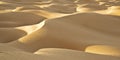 Dunes on desert