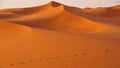 Dunes in the desert of Morocco Royalty Free Stock Photo