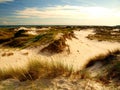 Dunes of Dueodde.