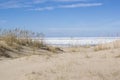Dunes in the early spring in Jurmala Royalty Free Stock Photo