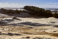 Dunes of Efa`s height, Curonian Spit, Russia Royalty Free Stock Photo