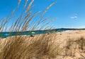 Dunes with grass on sandy beach in summer day, beach blurred background Royalty Free Stock Photo