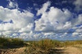 Dunes with green grass Royalty Free Stock Photo