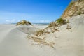 Dunes with Beachgrass Royalty Free Stock Photo