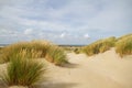 Dunes grown with Marram grass